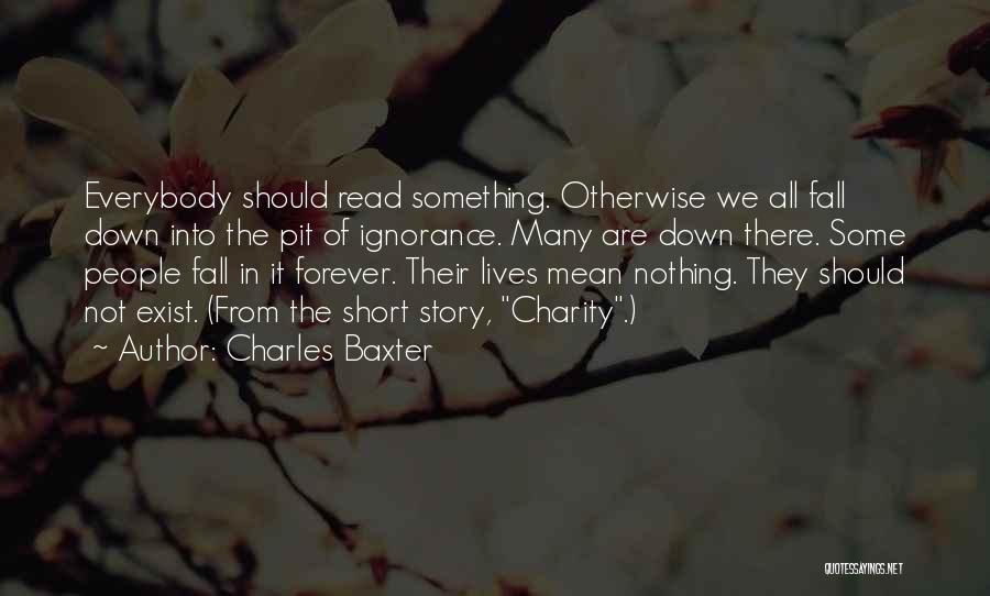 Meaning Short Quotes By Charles Baxter