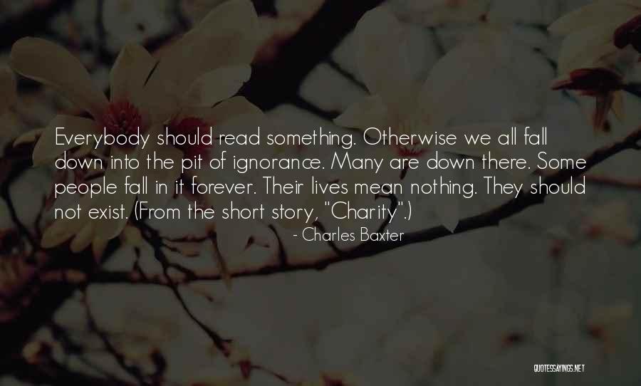 Meaning Short Quotes By Charles Baxter