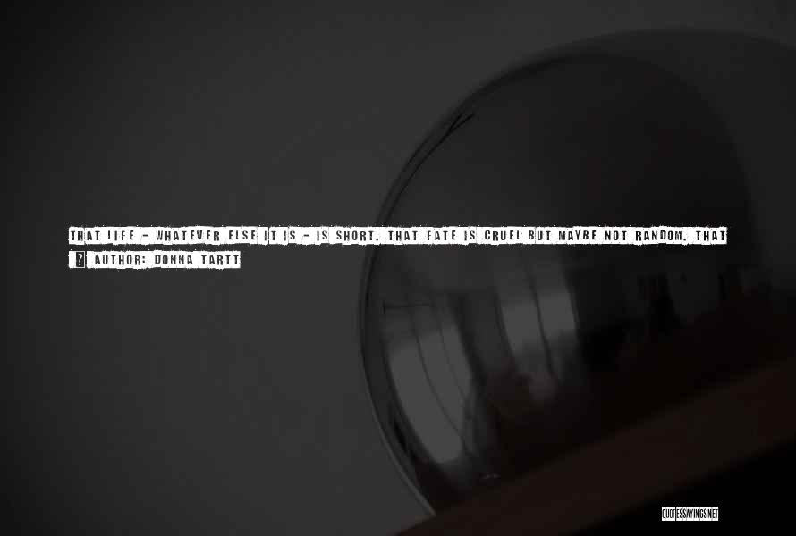 Meaning Short Quotes By Donna Tartt Meaning Short Quotes By Donna Tartt