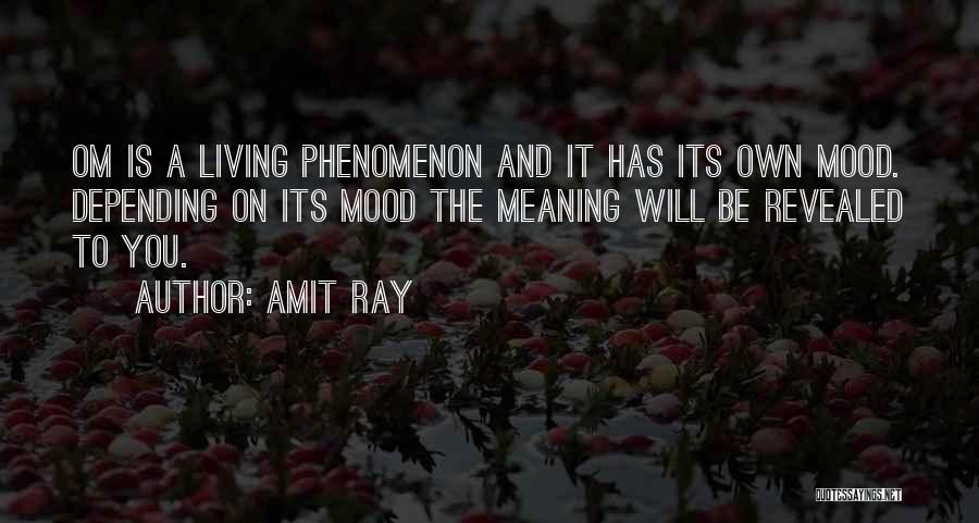 Meaning To Life Quotes By Amit Ray