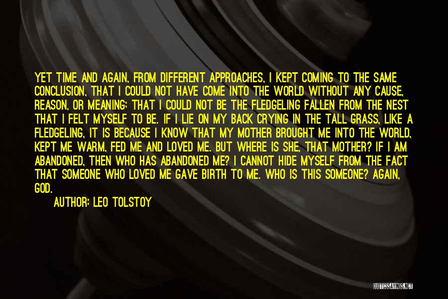 Meaning To Someone Quotes By Leo Tolstoy