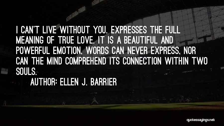 Meaning True Love Quotes By Ellen J. Barrier