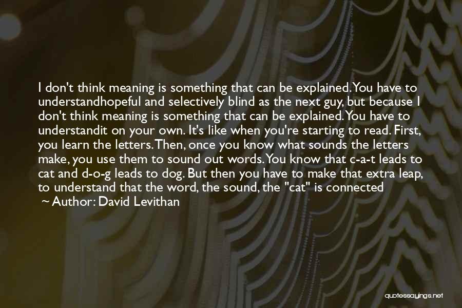 Meaning What You Say Quotes By David Levithan