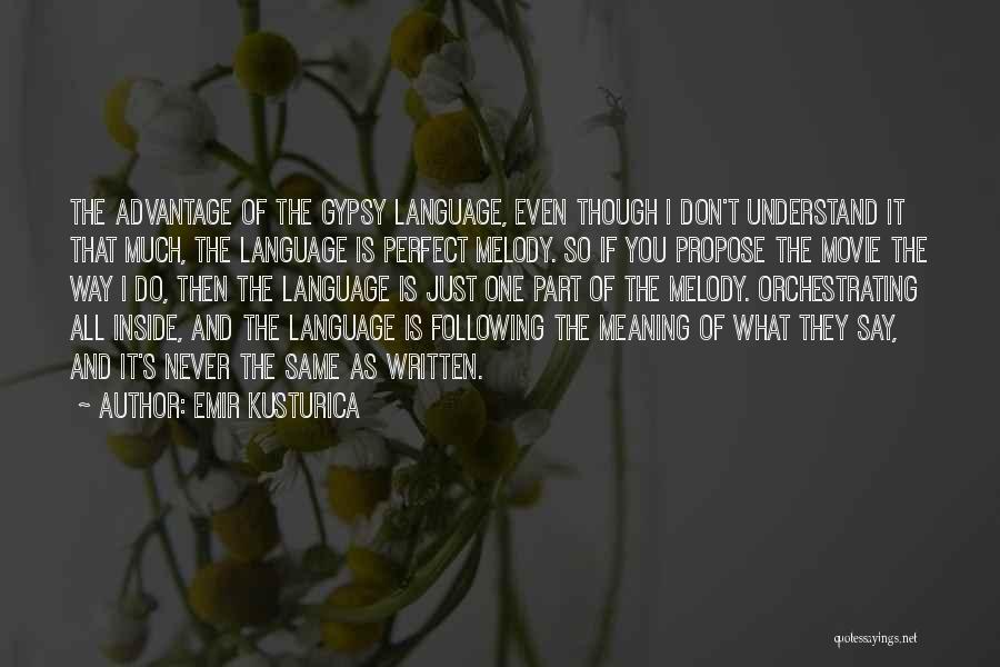 Meaning What You Say Quotes By Emir Kusturica