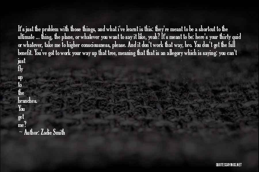 Meaning What You Say Quotes By Zadie Smith