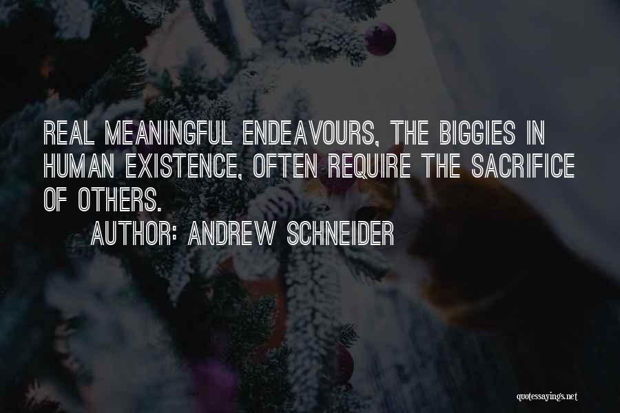 Meaningful Existence Quotes By Andrew Schneider