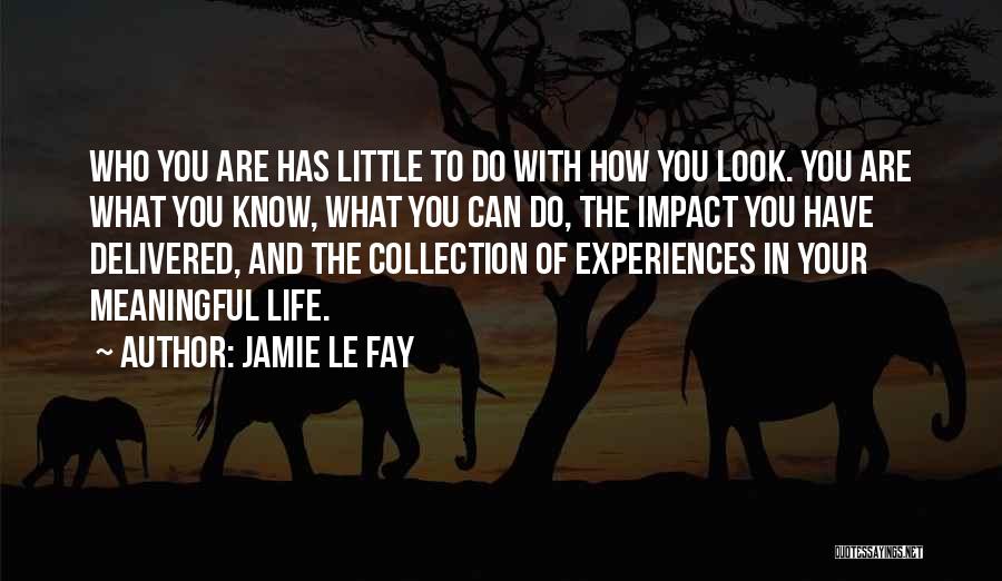 Meaningful Experiences Quotes By Jamie Le Fay