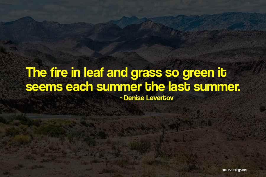 Meaningful Items Quotes By Denise Levertov Meaningful Items Quotes By Denise Levertov