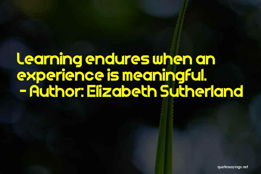 Meaningful Learning Quotes By Elizabeth Sutherland