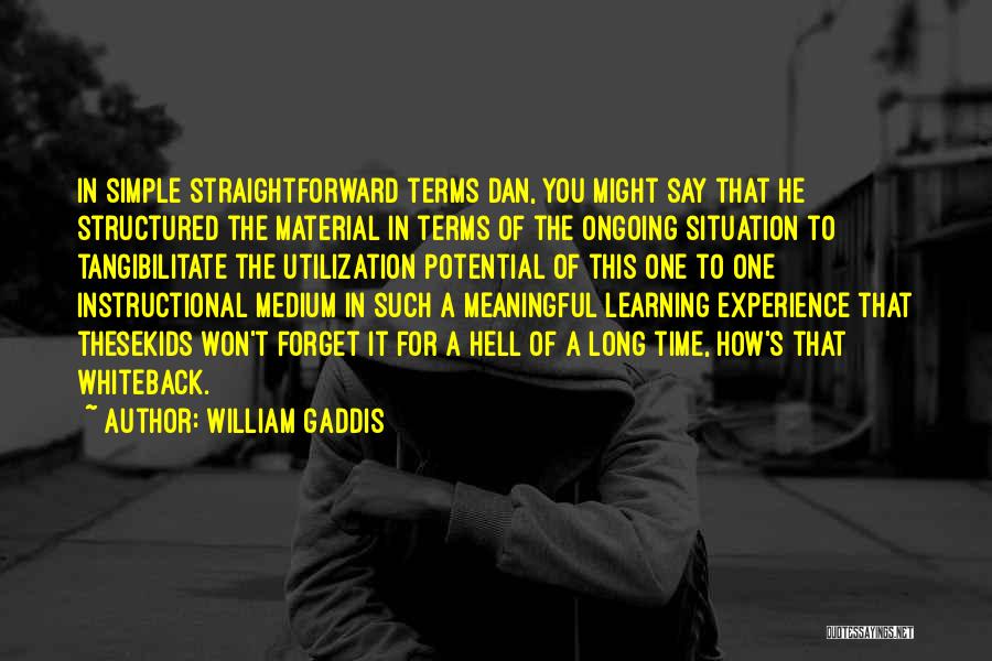 Meaningful Learning Quotes By William Gaddis