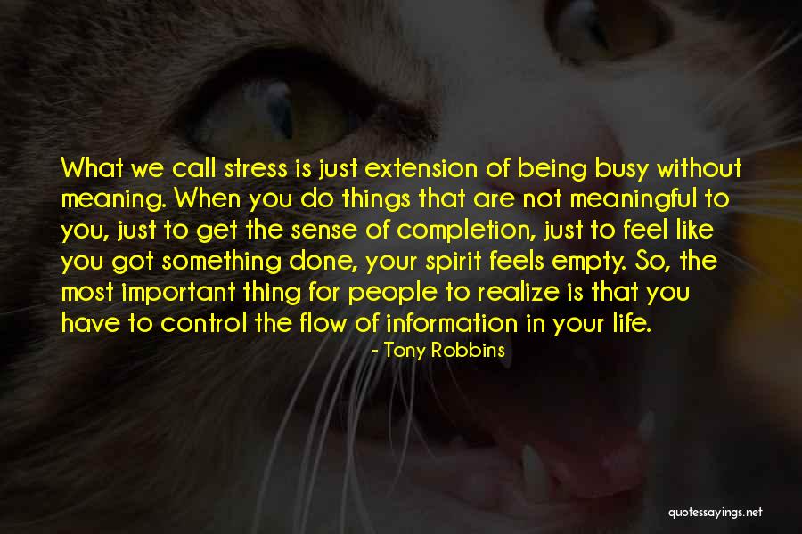 Meaningful Things In Life Quotes By Tony Robbins Meaningful Things In Life Quotes By Tony Robbins