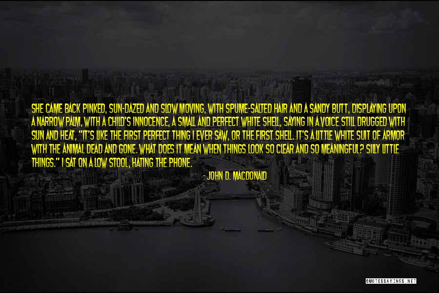 Meaningful Things Quotes By John D. MacDonald Meaningful Things Quotes By John D. MacDonald