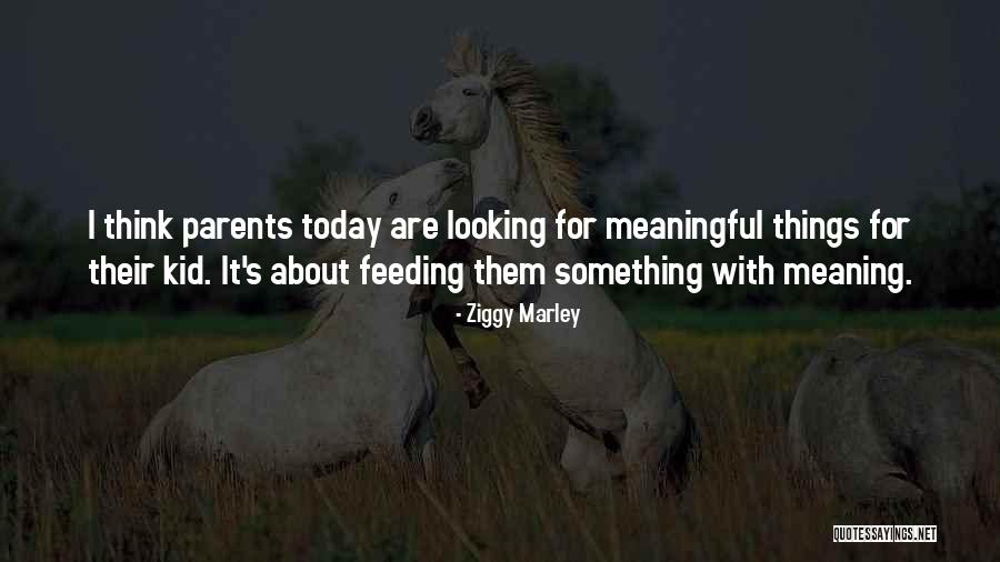 Meaningful Things Quotes By Ziggy Marley Meaningful Things Quotes By Ziggy Marley