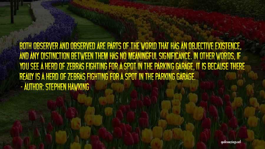 Meaningful Words Quotes By Stephen Hawking