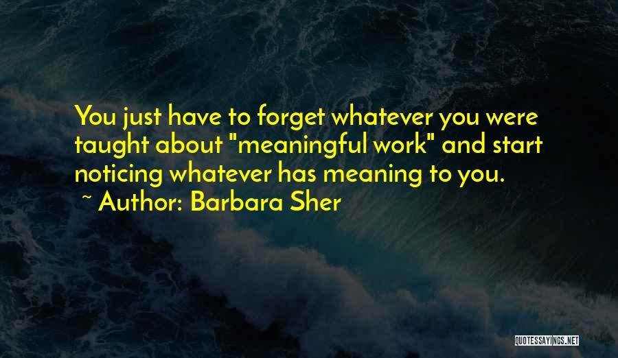 Meaningful Work Quotes By Barbara Sher