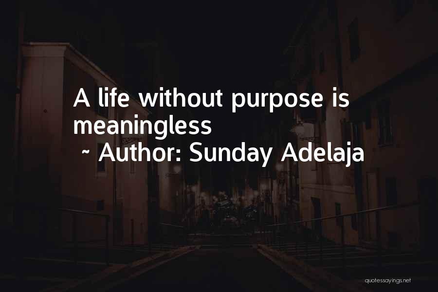 Meaningful Work Quotes By Sunday Adelaja