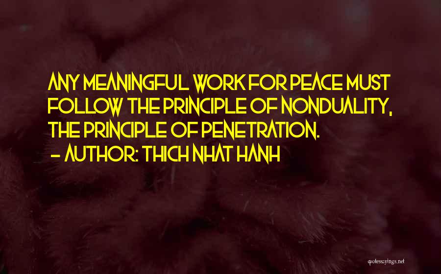 Meaningful Work Quotes By Thich Nhat Hanh