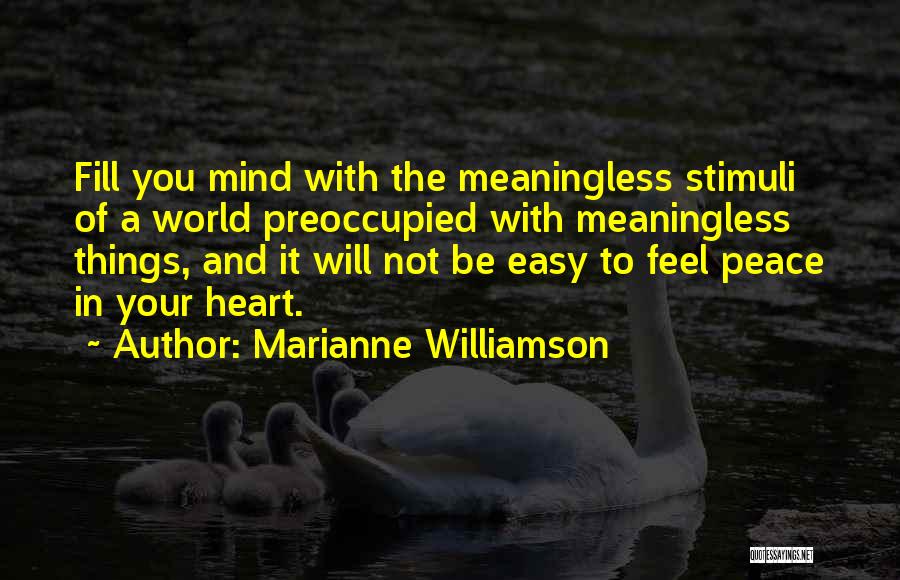 Meaningless Things Quotes By Marianne Williamson