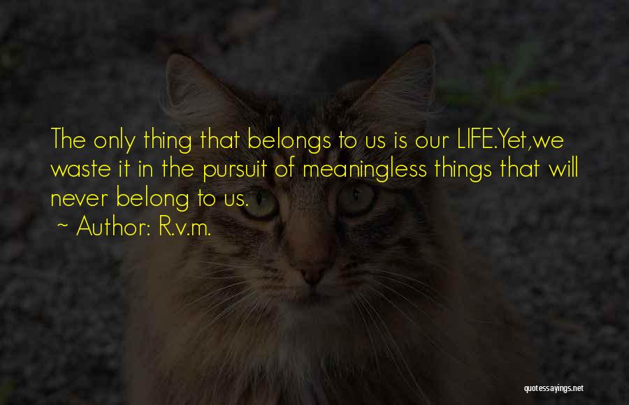 Meaningless Things Quotes By R.v.m.