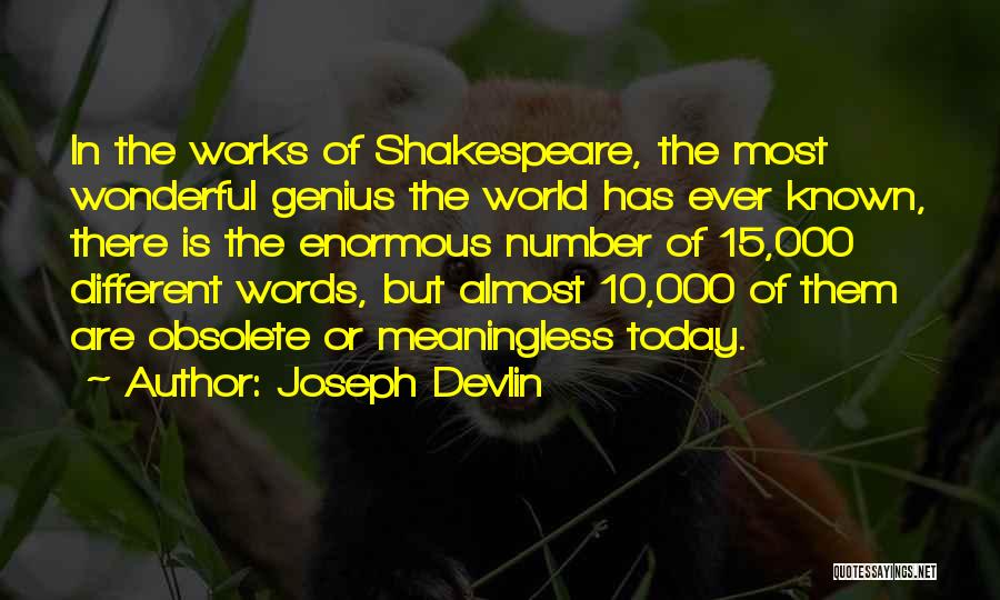 Meaningless Words Quotes By Joseph Devlin