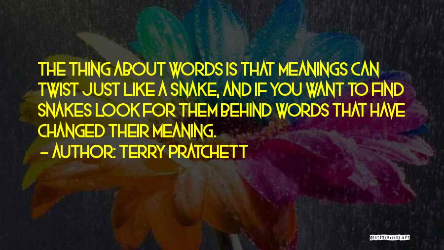 Meanings Behind Quotes By Terry Pratchett