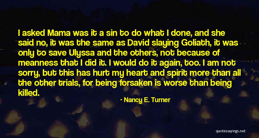 Meanness Spirit Quotes By Nancy E. Turner Meanness Spirit Quotes By Nancy E. Turner