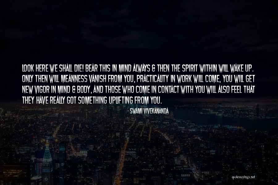 Meanness Spirit Quotes By Swami Vivekananda Meanness Spirit Quotes By Swami Vivekananda