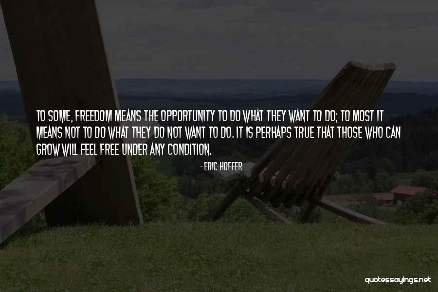 Means It Is True Quotes By Eric Hoffer