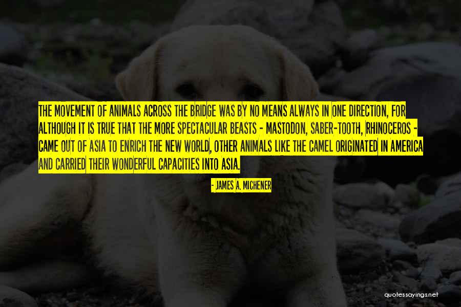Means It Is True Quotes By James A. Michener