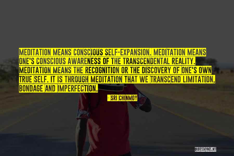 Means It Is True Quotes By Sri Chinmoy