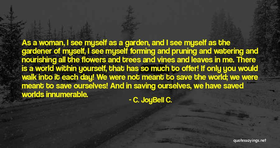 Meant For Me Quotes By C. JoyBell C.