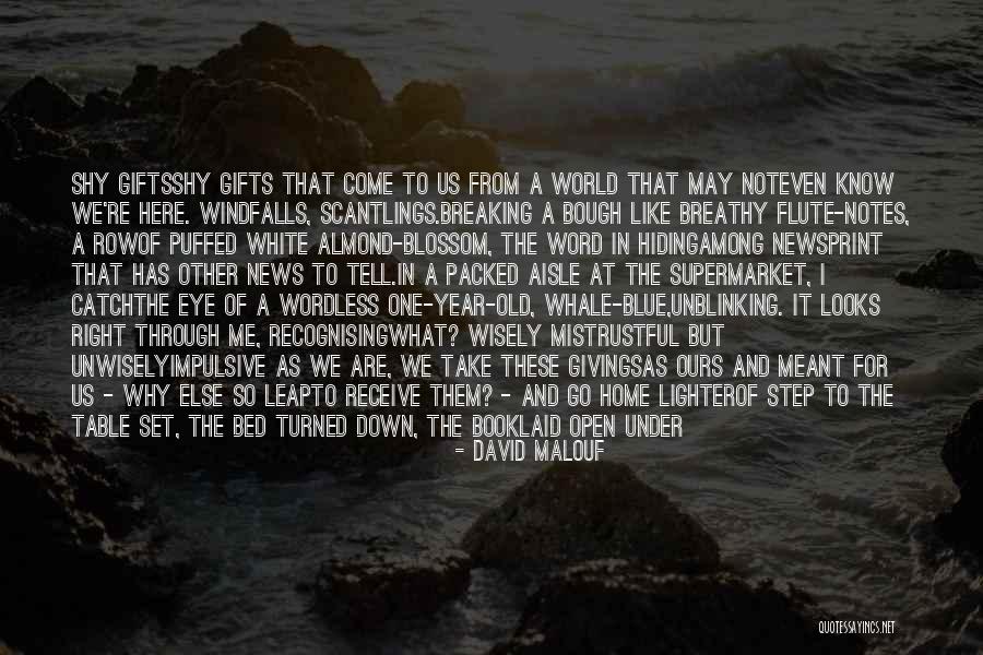 Meant For Me Quotes By David Malouf
