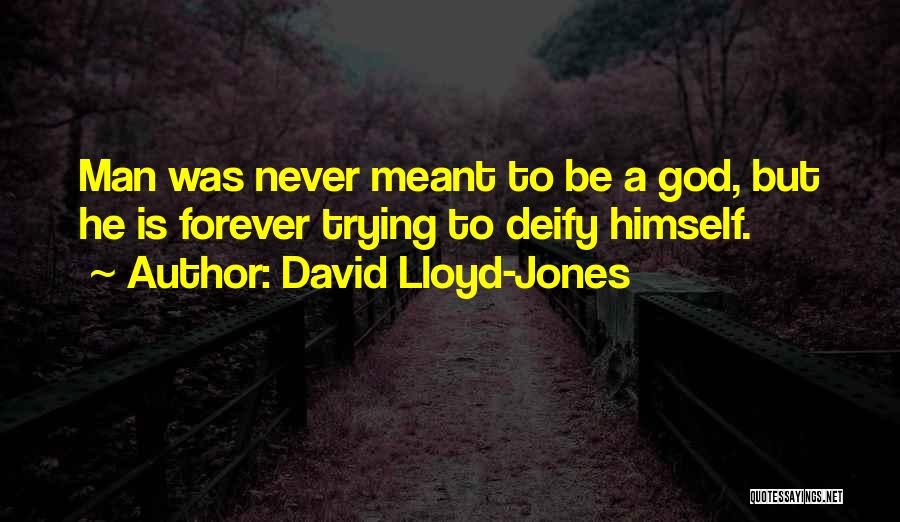 Meant Forever Quotes By David Lloyd-Jones