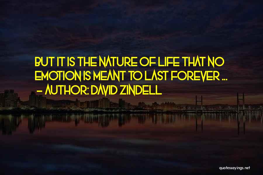 Meant Forever Quotes By David Zindell