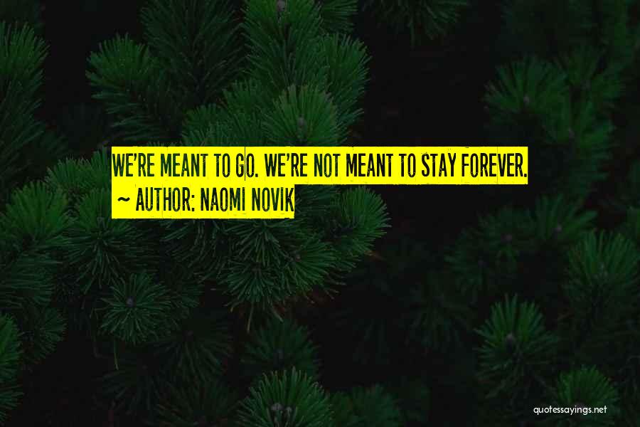 Meant Forever Quotes By Naomi Novik