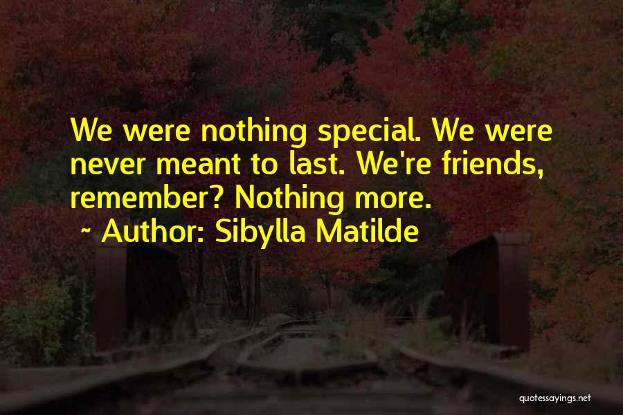 Meant Nothing Quotes By Sibylla Matilde