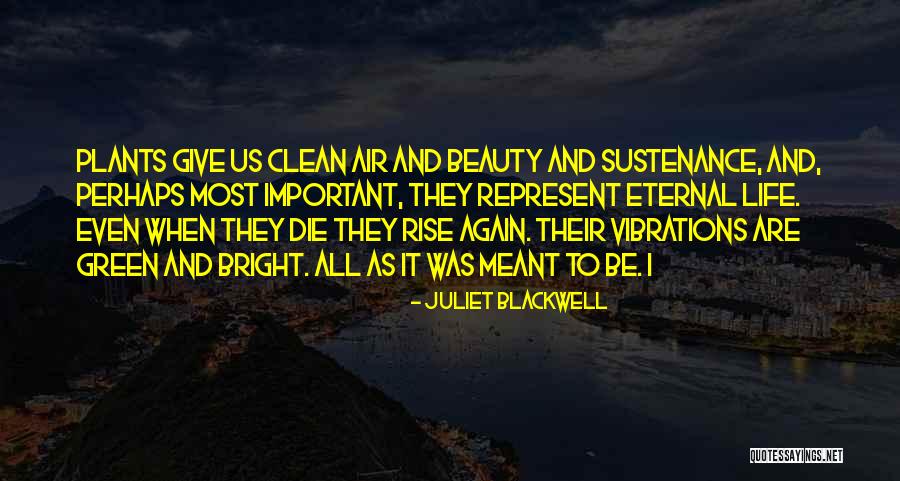 Meant Quotes By Juliet Blackwell Meant Quotes By Juliet Blackwell