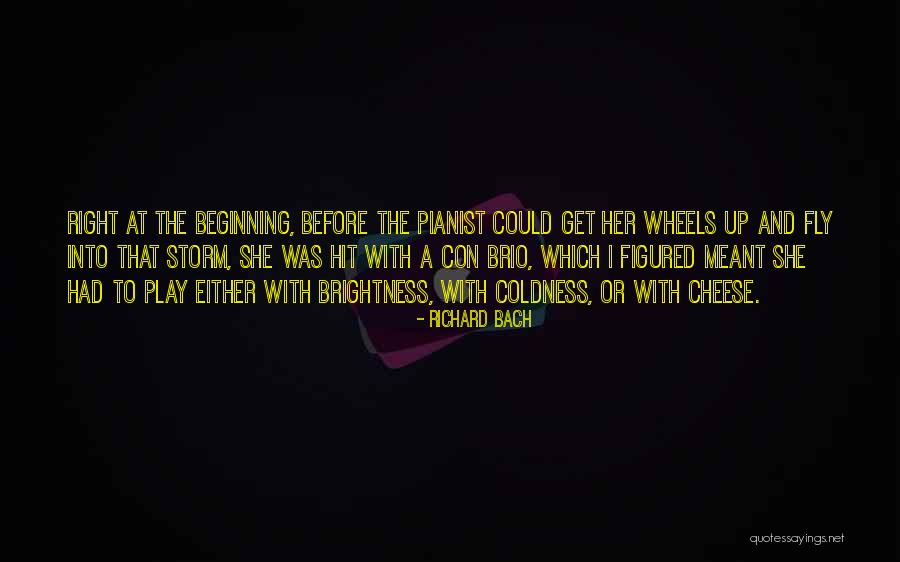 Meant To Fly Quotes By Richard Bach Meant To Fly Quotes By Richard Bach
