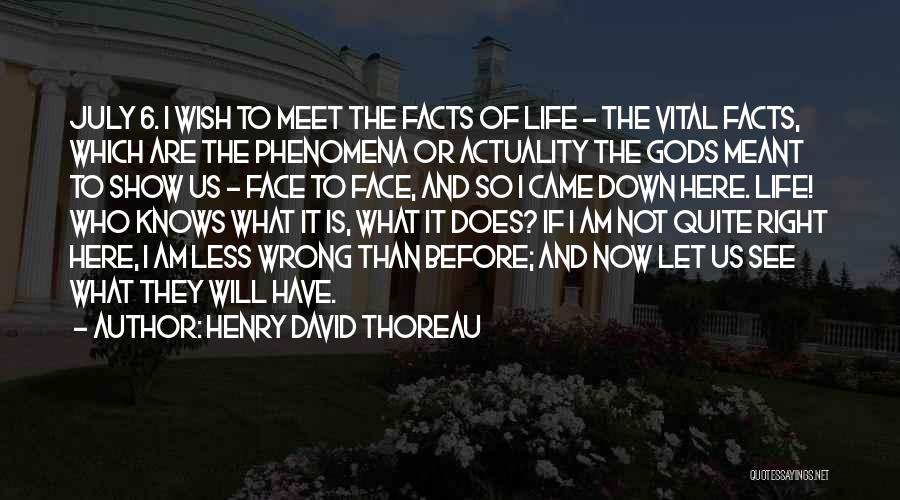 Meant To Meet Quotes By Henry David Thoreau