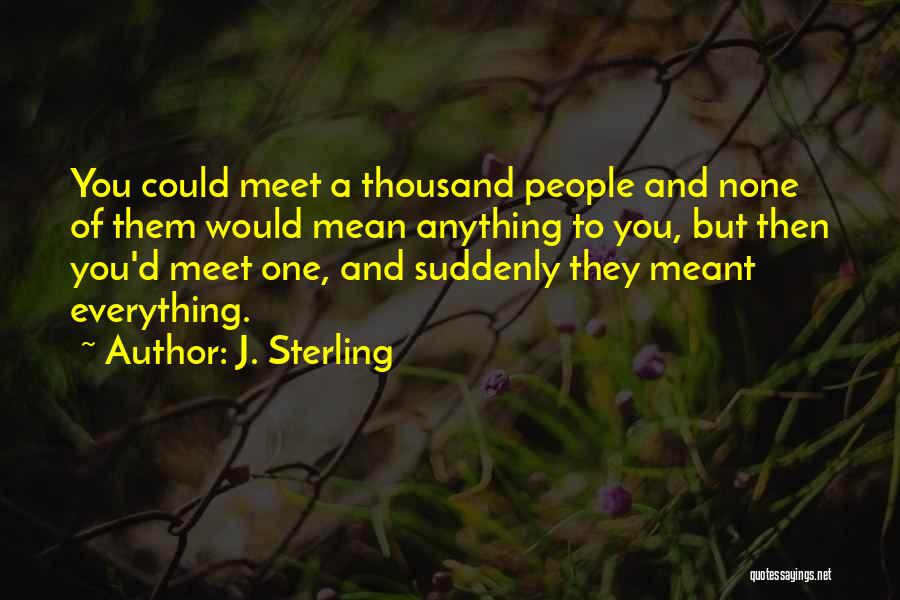 Meant To Meet Quotes By J. Sterling