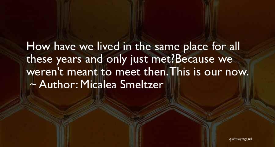 Meant To Meet Quotes By Micalea Smeltzer