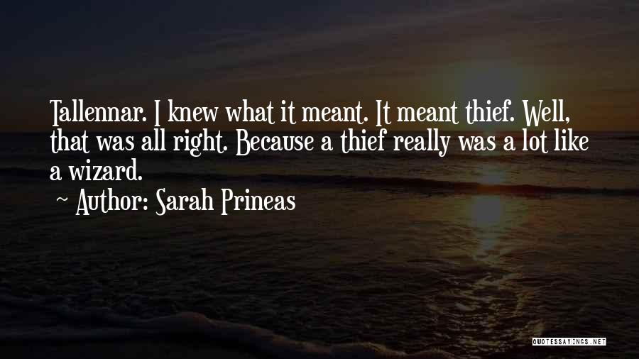 Meant Well Quotes By Sarah Prineas