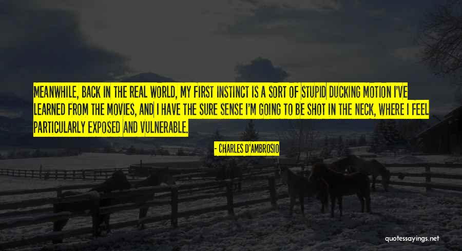 Meanwhile World Quotes By Charles D'Ambrosio Meanwhile World Quotes By Charles D'Ambrosio