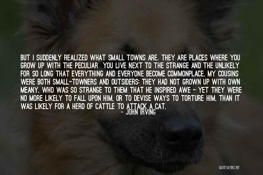 Meany Quotes By John Irving Meany Quotes By John Irving