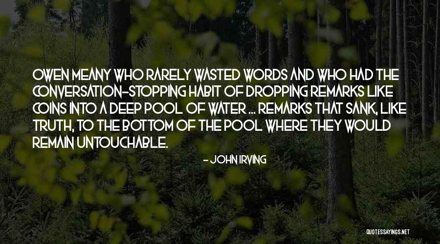 Meany Quotes By John Irving Meany Quotes By John Irving