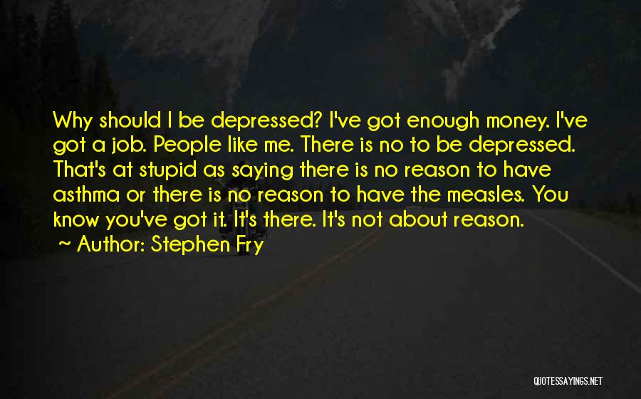 Measles Quotes By Stephen Fry