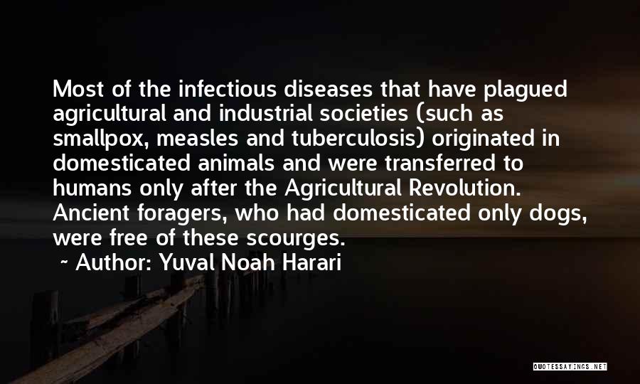 Measles Quotes By Yuval Noah Harari