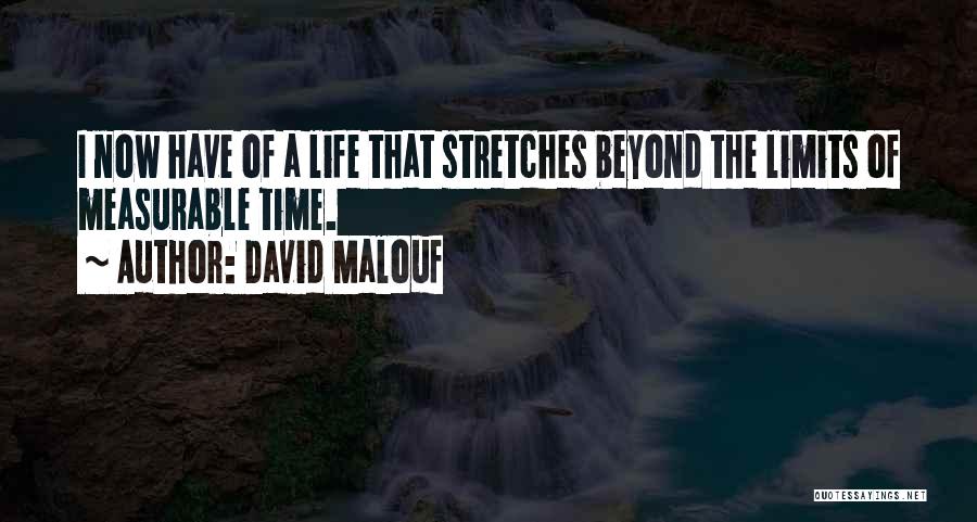 Measurable Life Quotes By David Malouf