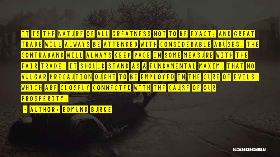 Measure Of Greatness Quotes By Edmund Burke