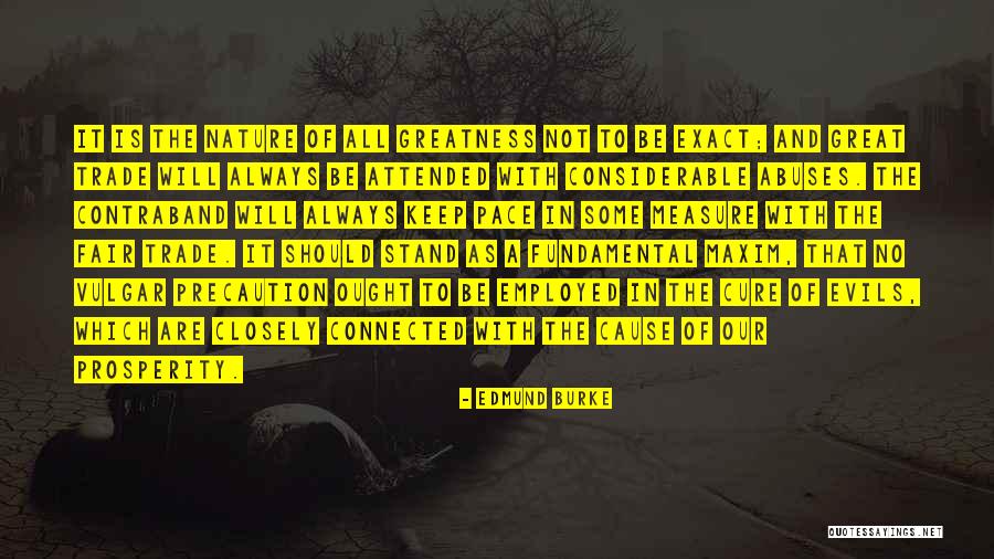 Measure Of Greatness Quotes By Edmund Burke Measure Of Greatness Quotes By Edmund Burke